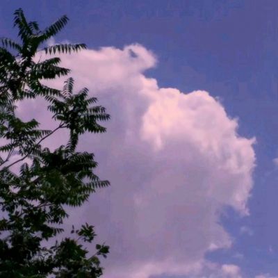 光42游戏(暂未上线)v1.0 安卓版